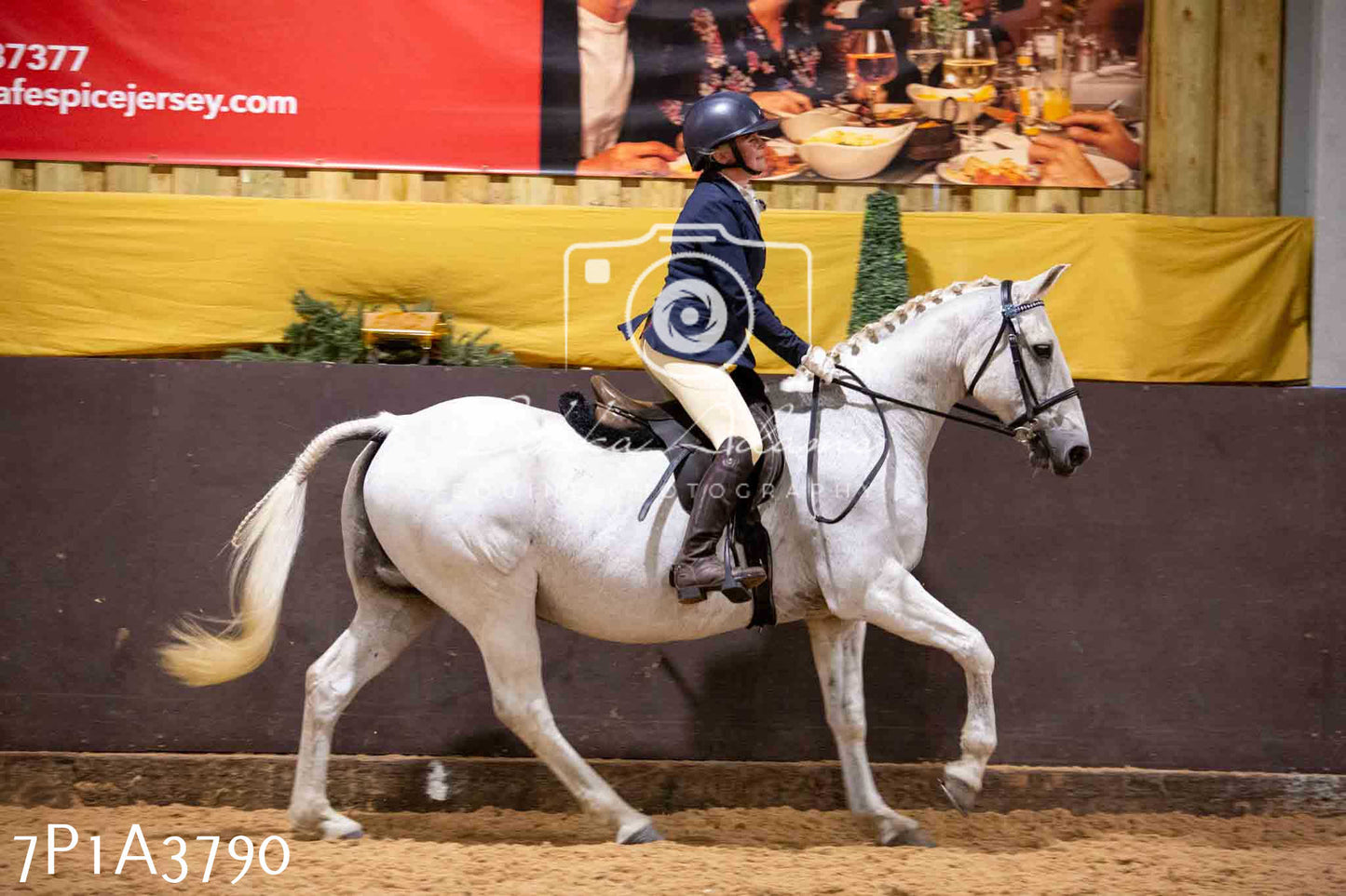 Home Farm Funshine Show 2024 - Ridden Showing 15th September