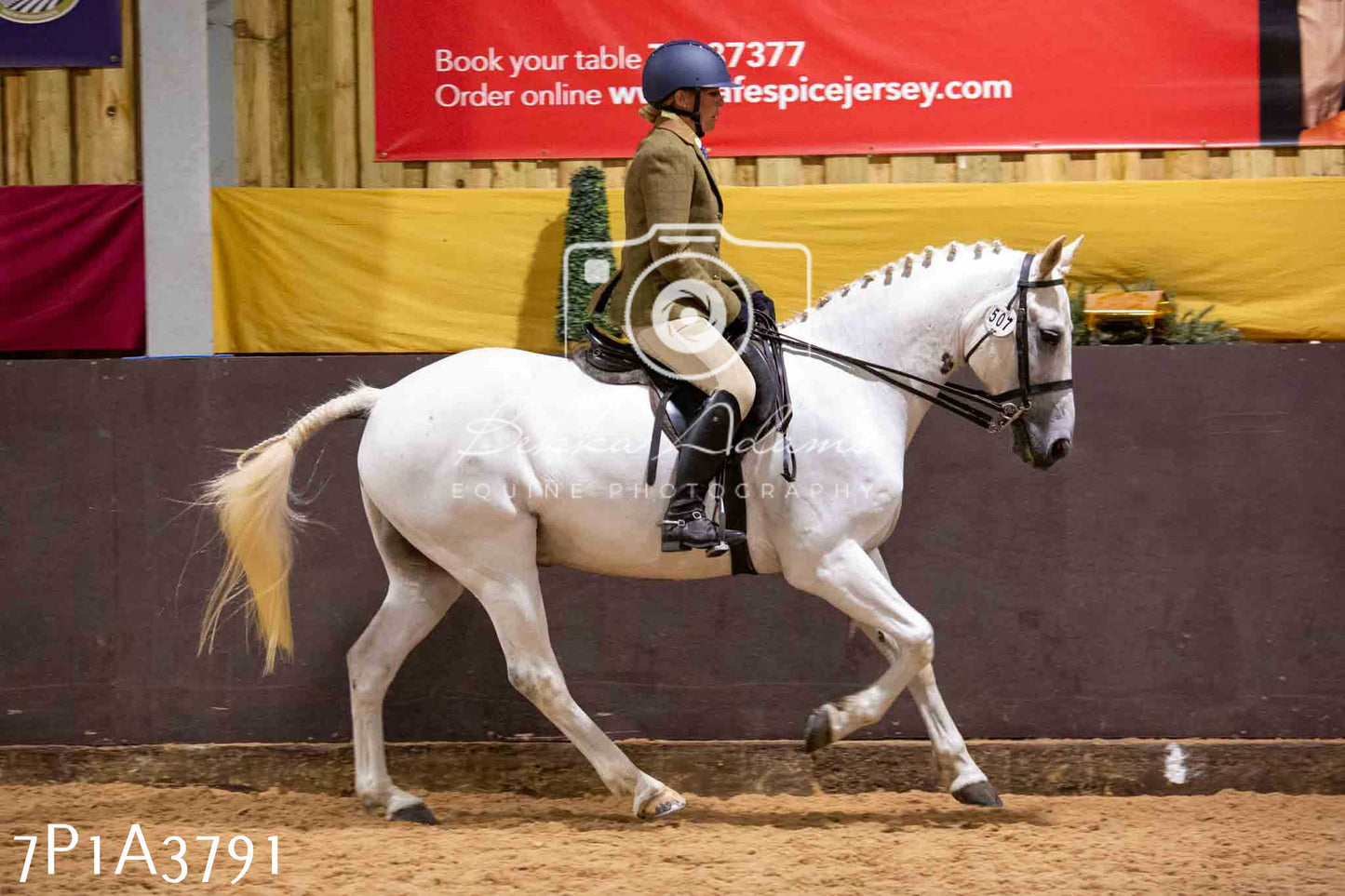 Home Farm Funshine Show 2024 - Ridden Showing 15th September