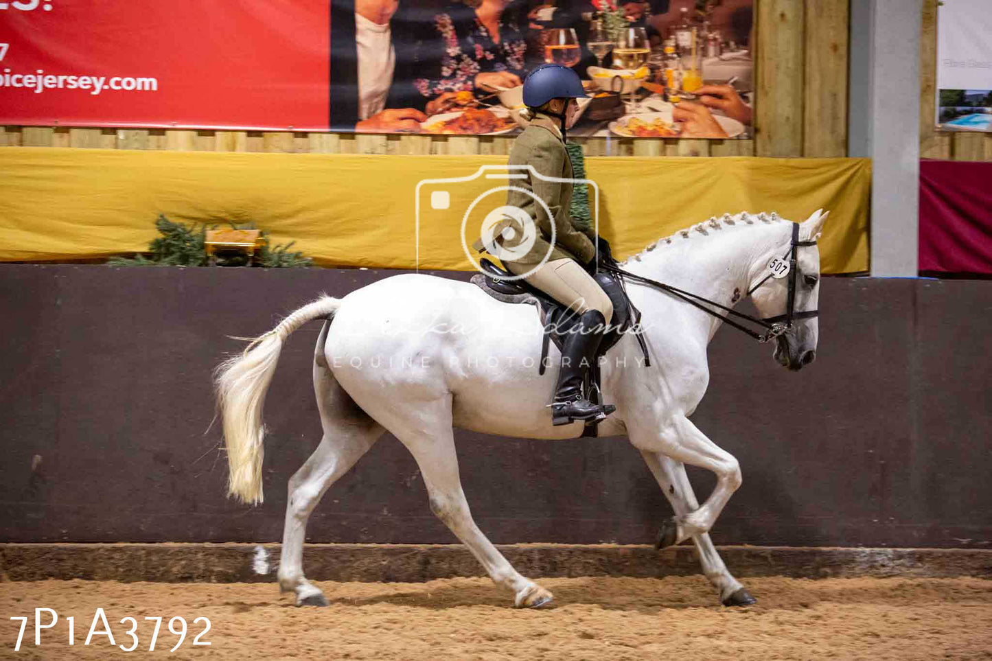 Home Farm Funshine Show 2024 - Ridden Showing 15th September