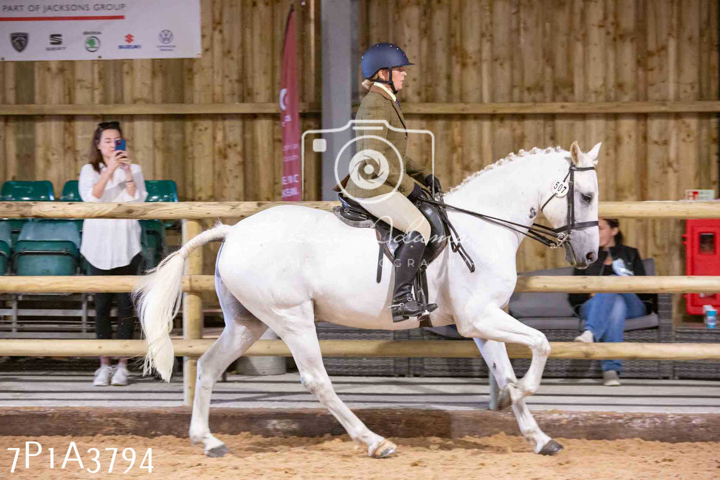 Home Farm Funshine Show 2024 - Ridden Showing 15th September