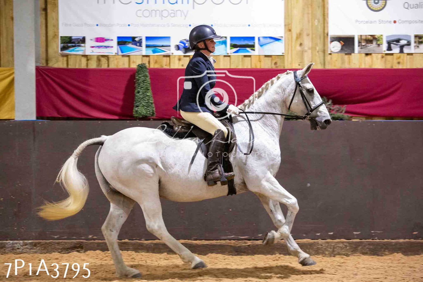 Home Farm Funshine Show 2024 - Ridden Showing 15th September