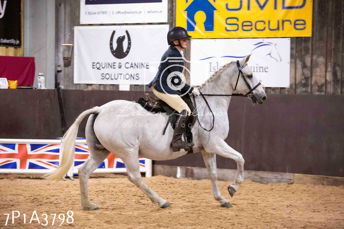 Home Farm Funshine Show 2024 - Ridden Showing 15th September