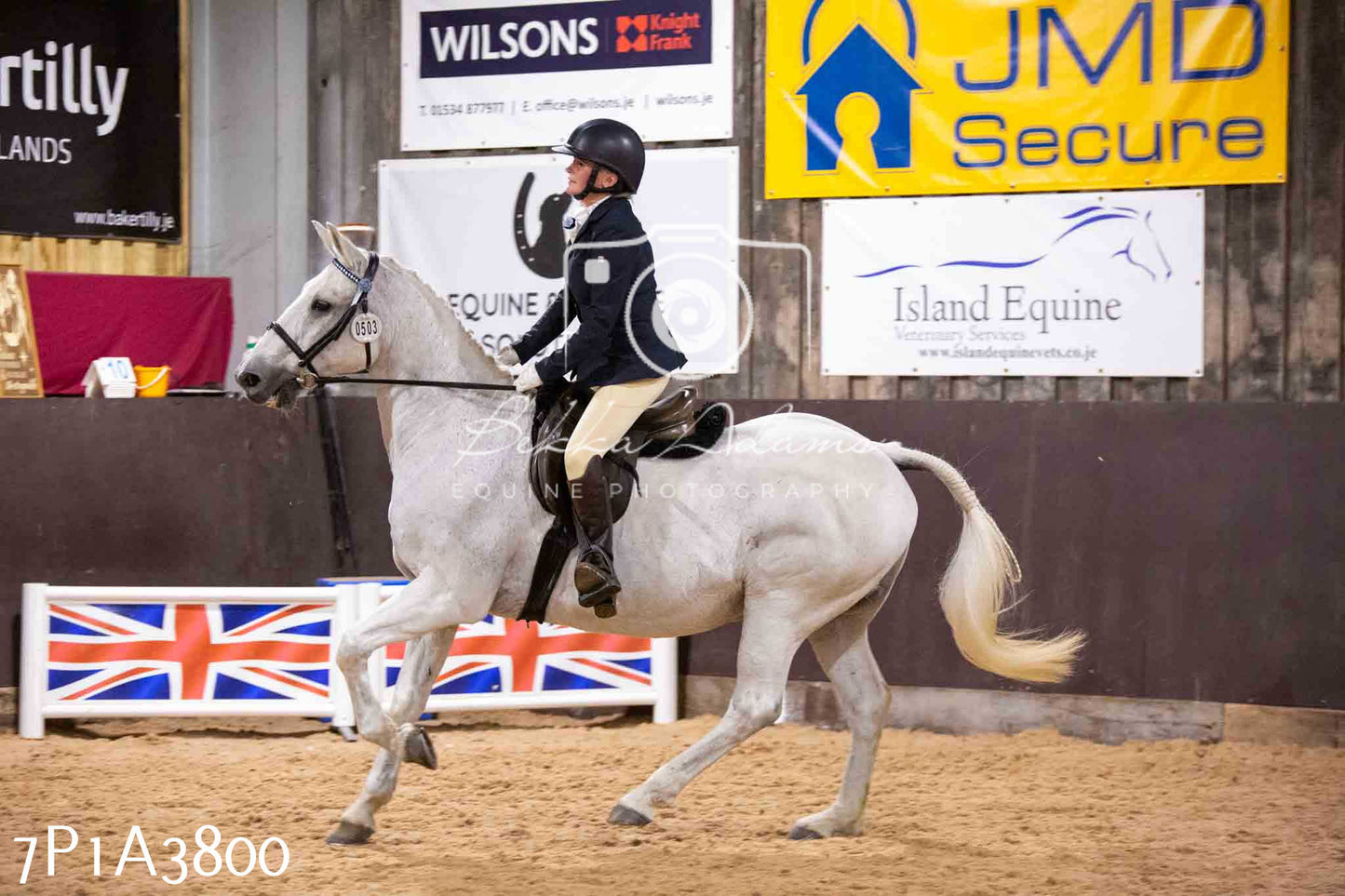 Home Farm Funshine Show 2024 - Ridden Showing 15th September