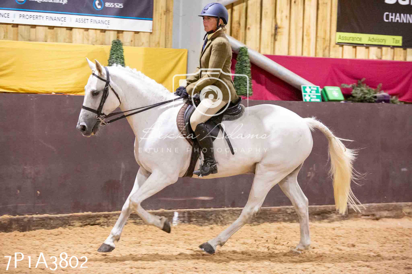 Home Farm Funshine Show 2024 - Ridden Showing 15th September