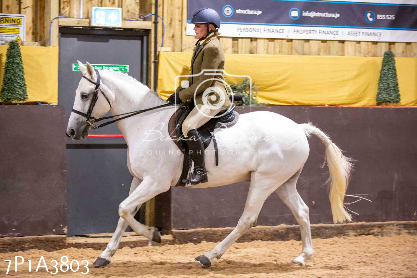 Home Farm Funshine Show 2024 - Ridden Showing 15th September