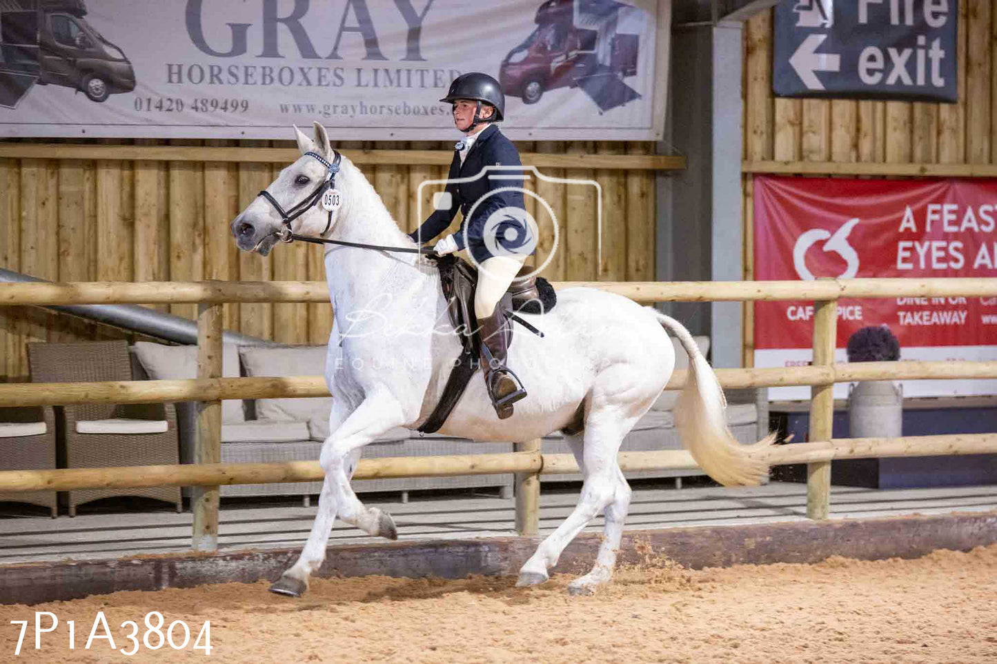 Home Farm Funshine Show 2024 - Ridden Showing 15th September