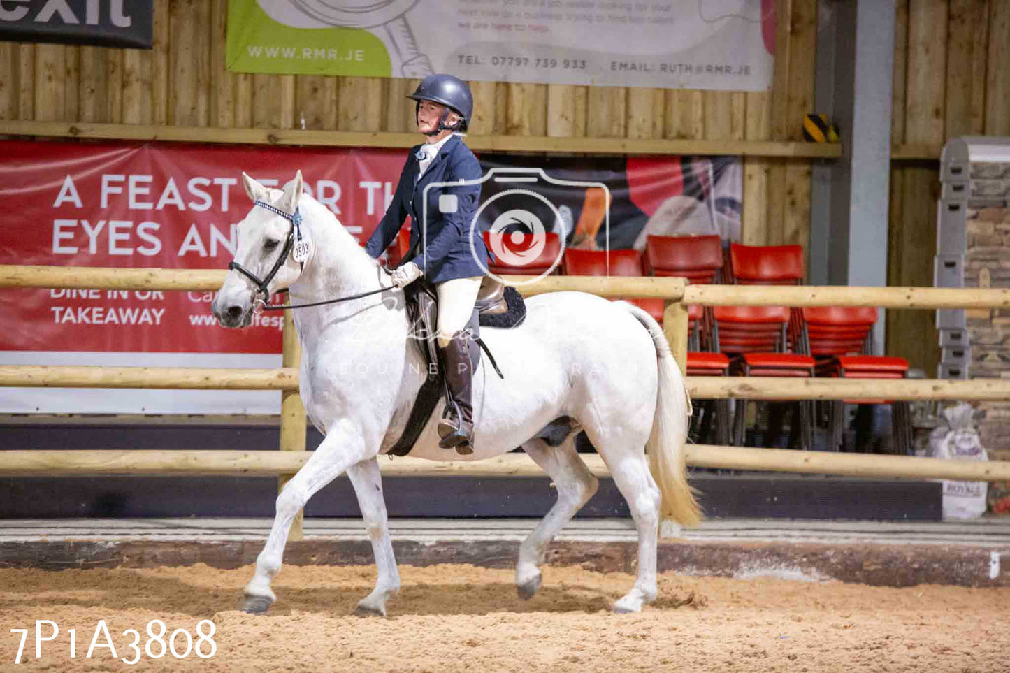 Home Farm Funshine Show 2024 - Ridden Showing 15th September