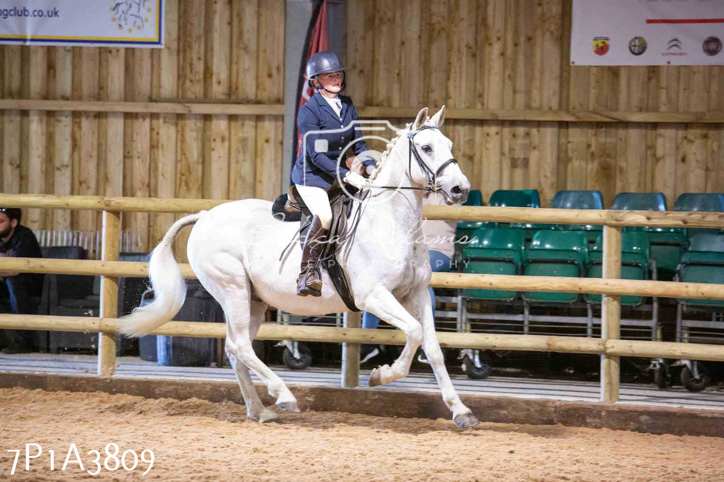 Home Farm Funshine Show 2024 - Ridden Showing 15th September