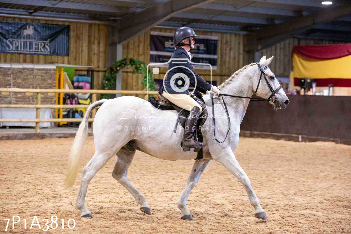 Home Farm Funshine Show 2024 - Ridden Showing 15th September