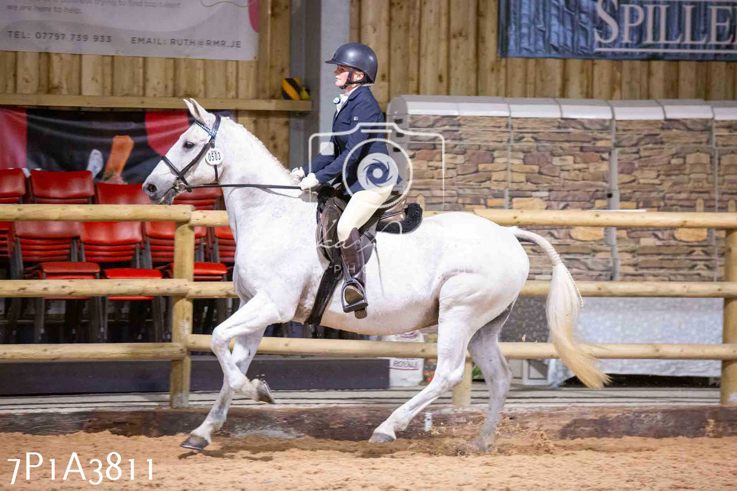 Home Farm Funshine Show 2024 - Ridden Showing 15th September