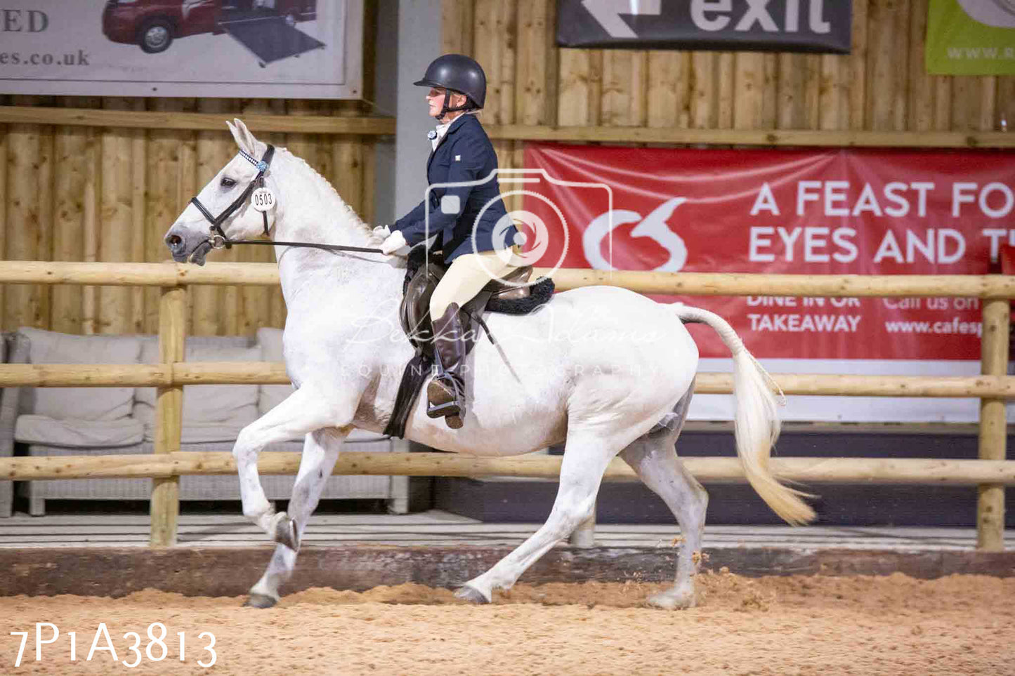 Home Farm Funshine Show 2024 - Ridden Showing 15th September