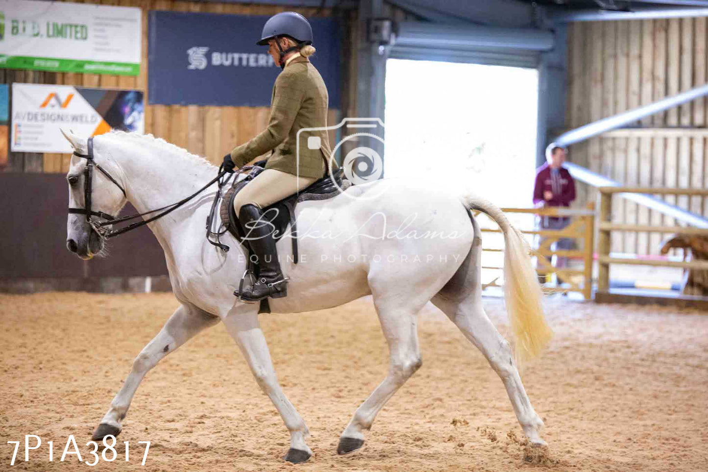 Home Farm Funshine Show 2024 - Ridden Showing 15th September