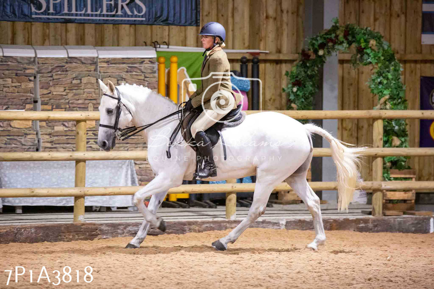 Home Farm Funshine Show 2024 - Ridden Showing 15th September