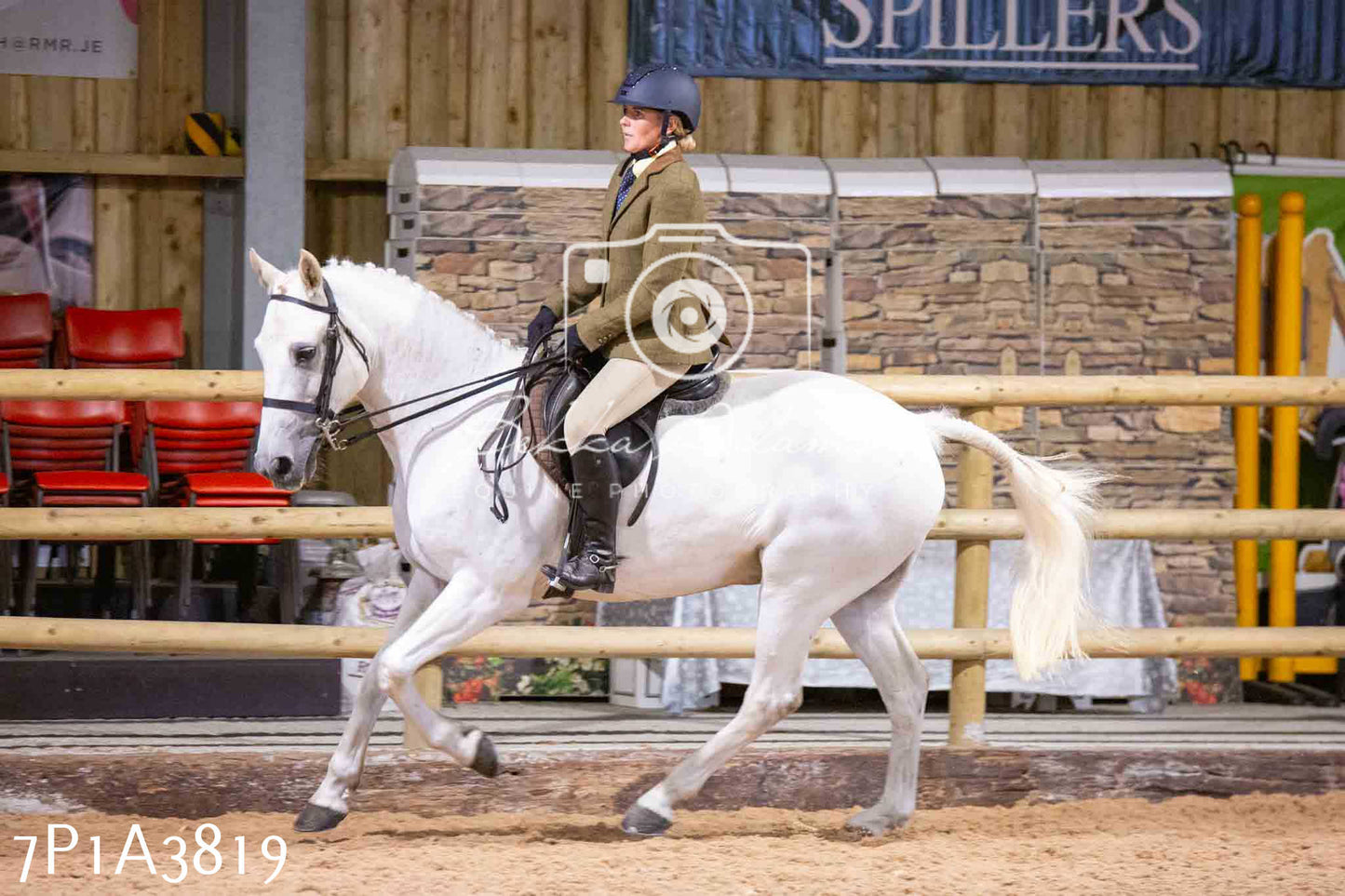 Home Farm Funshine Show 2024 - Ridden Showing 15th September