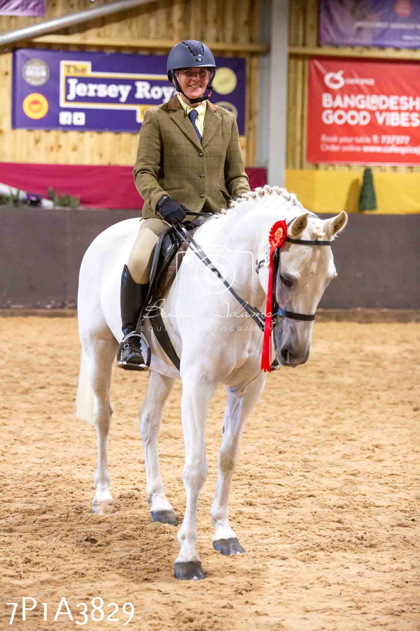 Home Farm Funshine Show 2024 - Ridden Showing 15th September