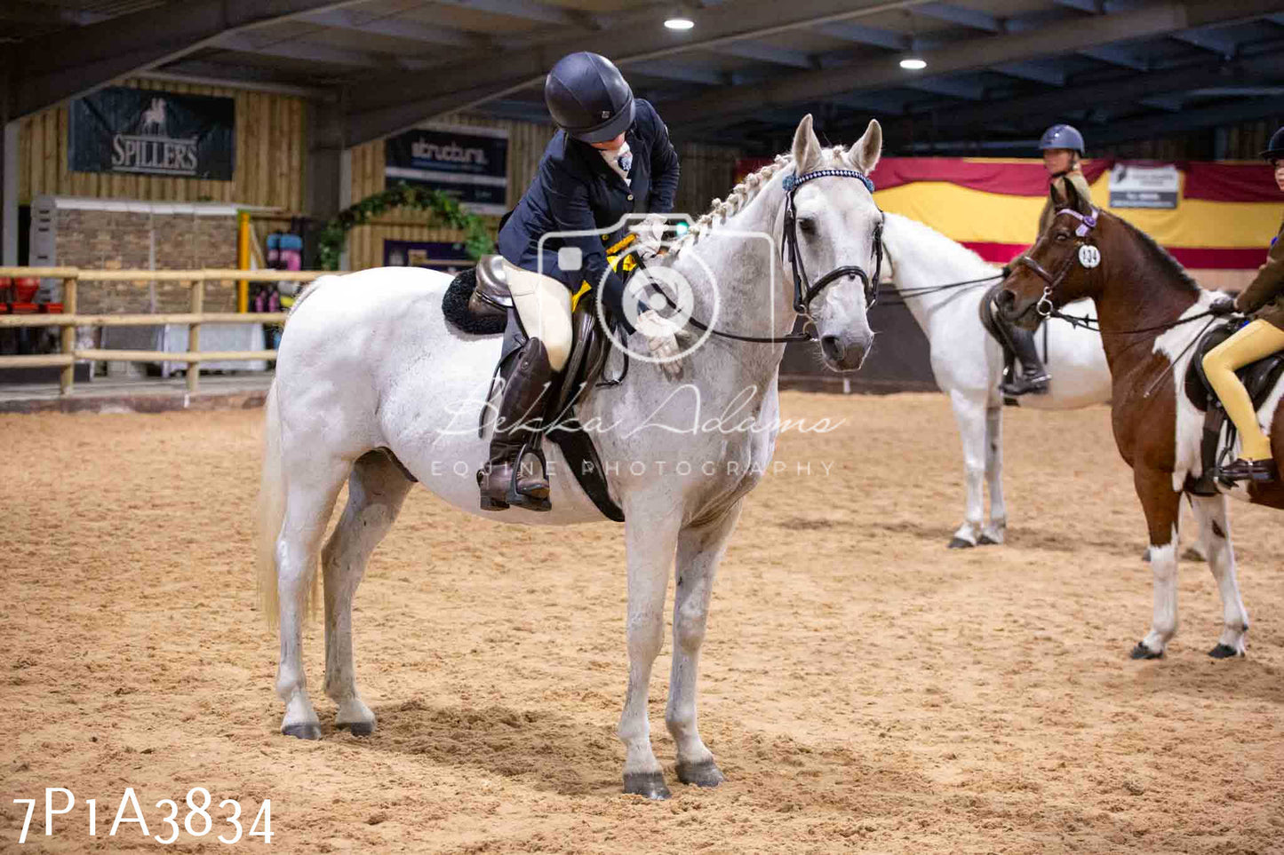 Home Farm Funshine Show 2024 - Ridden Showing 15th September