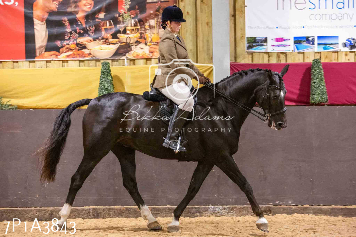 Home Farm Funshine Show 2024 - Ridden Showing 15th September