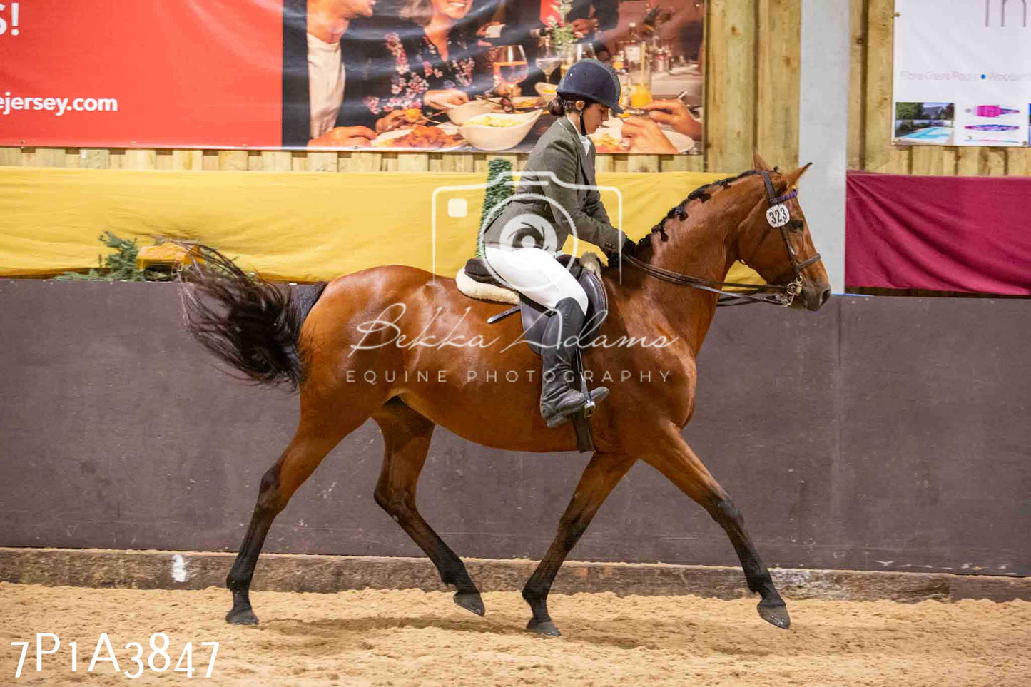 Home Farm Funshine Show 2024 - Ridden Showing 15th September