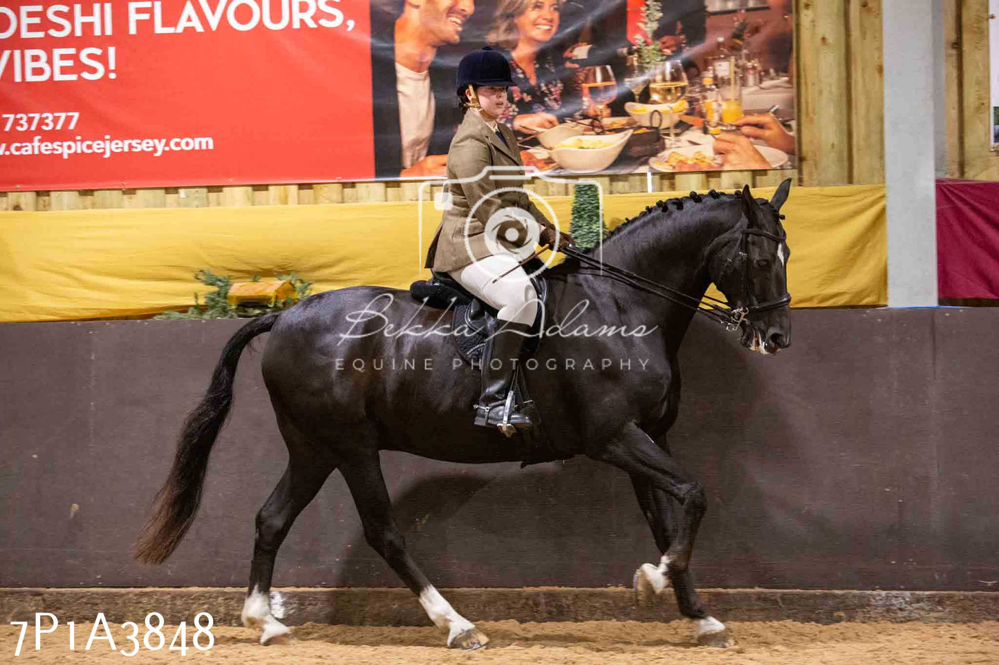 Home Farm Funshine Show 2024 - Ridden Showing 15th September