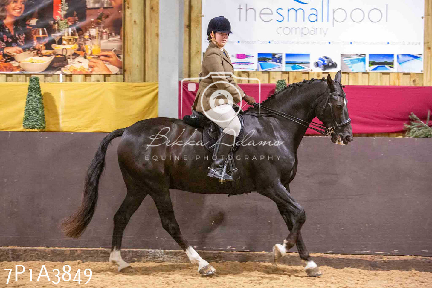 Home Farm Funshine Show 2024 - Ridden Showing 15th September