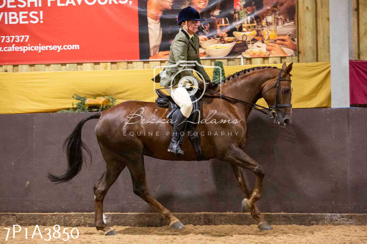 Home Farm Funshine Show 2024 - Ridden Showing 15th September