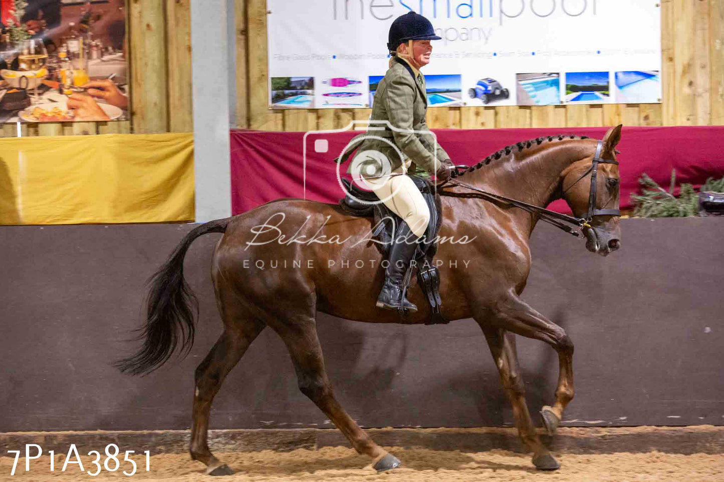 Home Farm Funshine Show 2024 - Ridden Showing 15th September