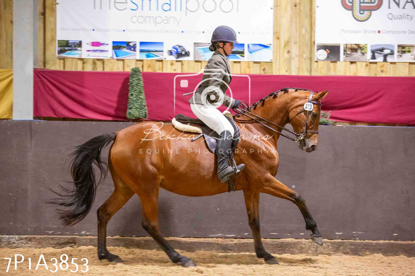 Home Farm Funshine Show 2024 - Ridden Showing 15th September