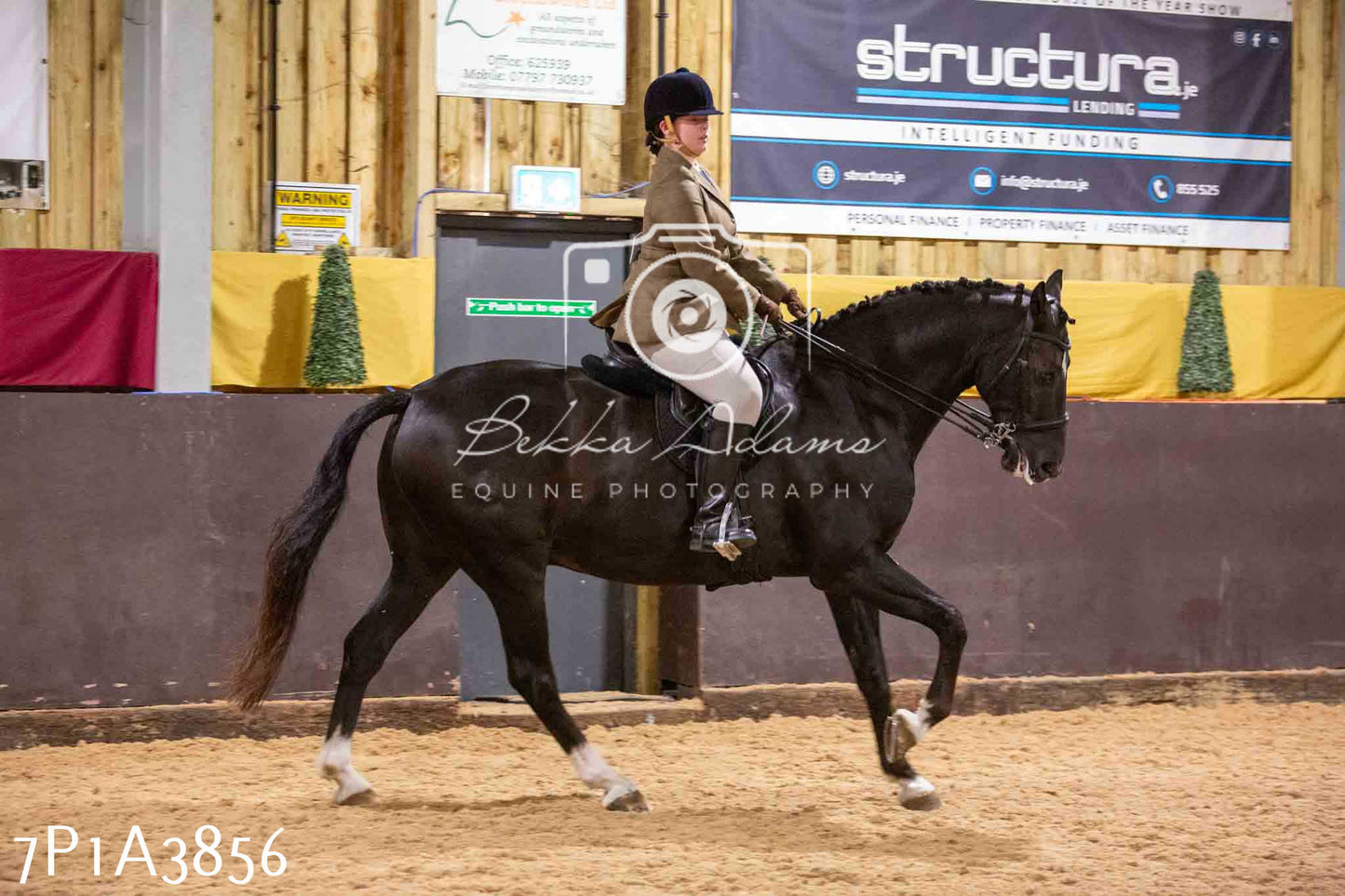 Home Farm Funshine Show 2024 - Ridden Showing 15th September