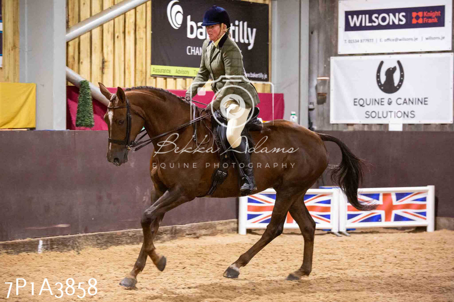 Home Farm Funshine Show 2024 - Ridden Showing 15th September