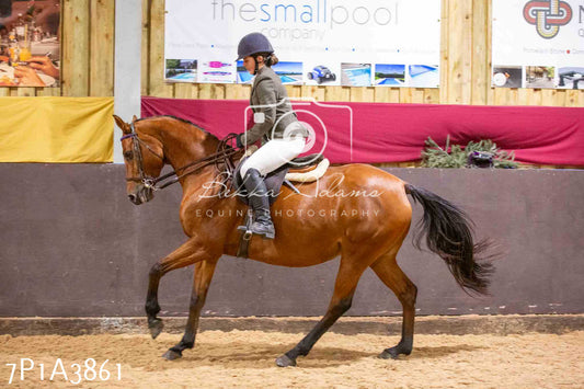 Home Farm Funshine Show 2024 - Ridden Showing 15th September pt2