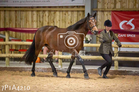 JHOYS 2023 - 9th September - Inhand Showing Pt2