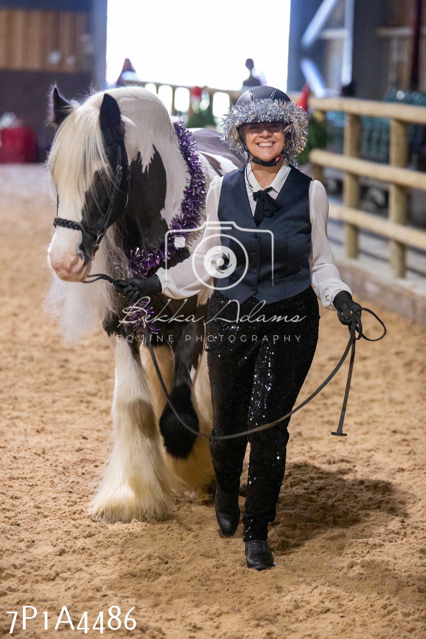 Home Farm Christmas Show 2024 - Inhand (Fun Classes)