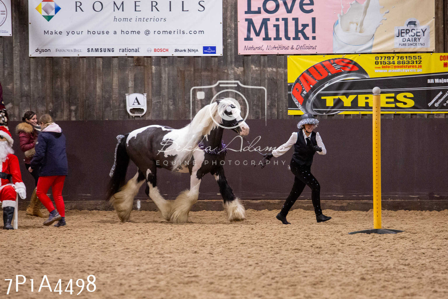 Home Farm Christmas Show 2024 - Inhand (Fun Classes)