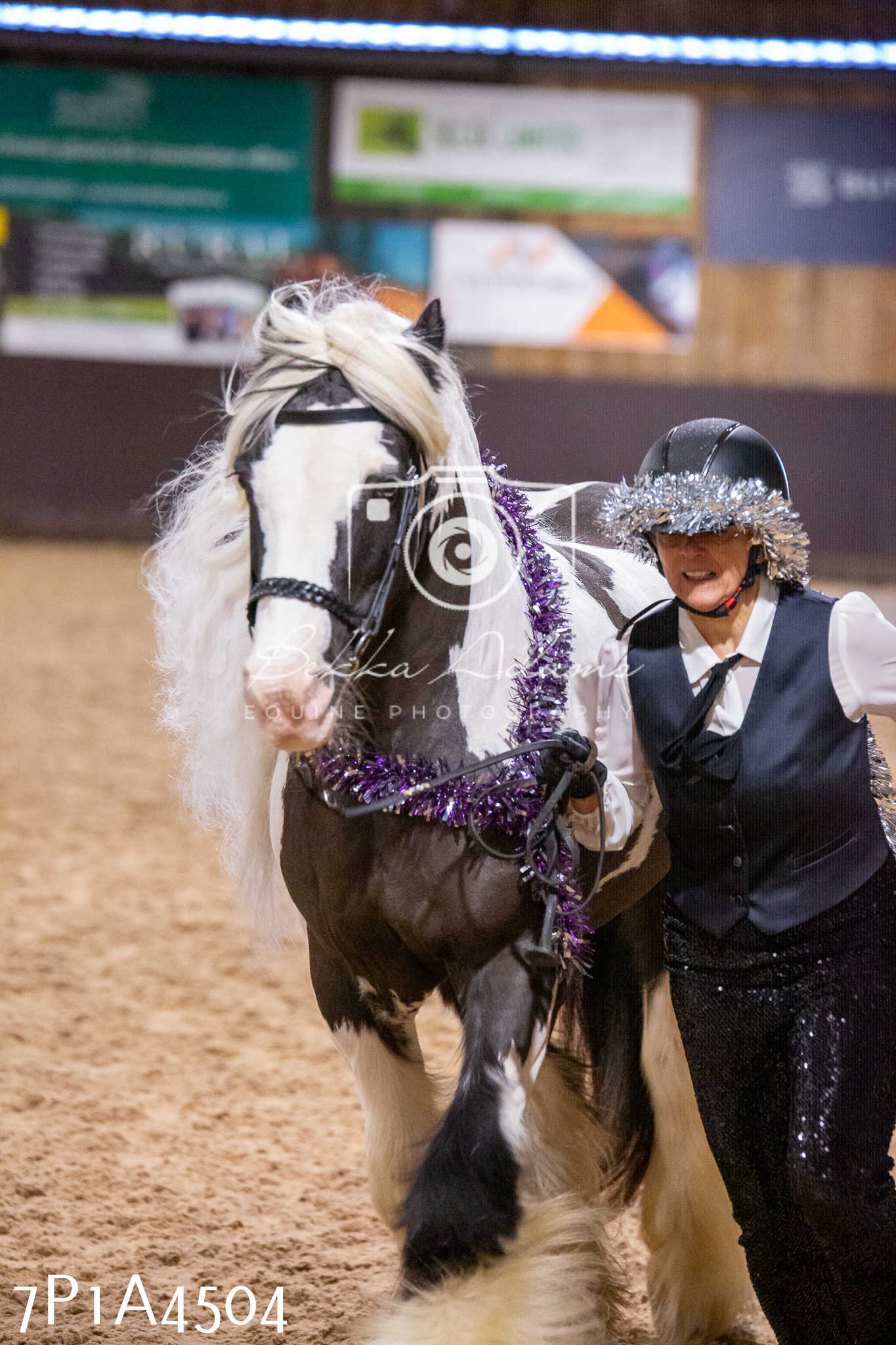 Home Farm Christmas Show 2024 - Inhand (Fun Classes)