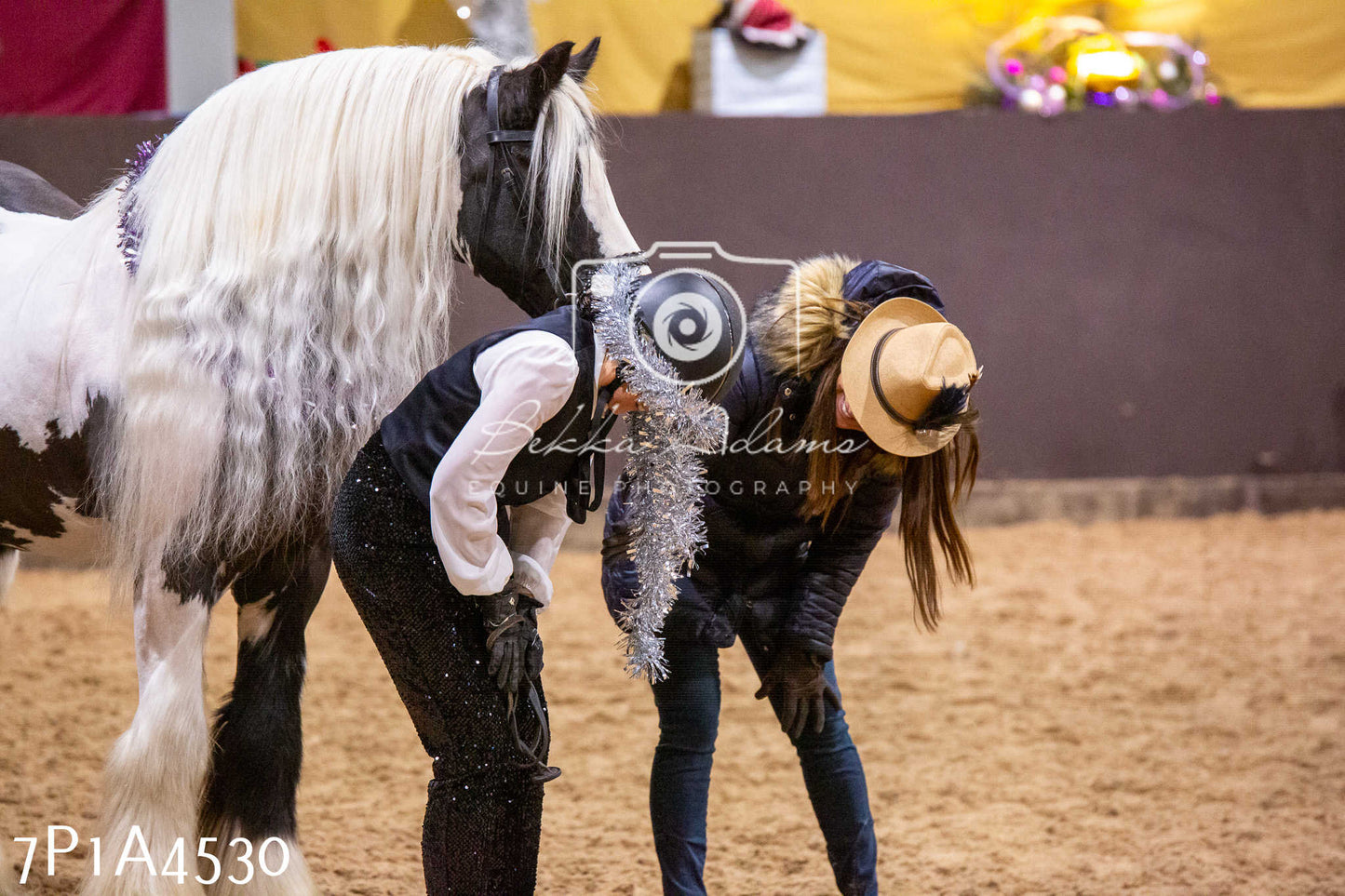 Home Farm Christmas Show 2024 - Inhand (Fun Classes)