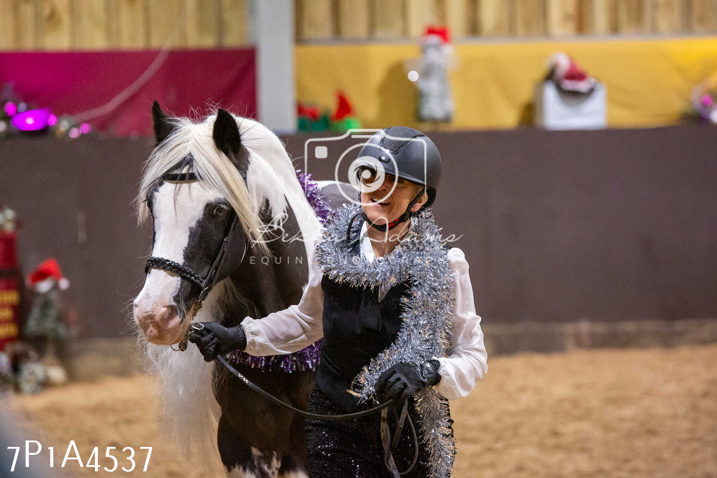 Home Farm Christmas Show 2024 - Inhand (Fun Classes)