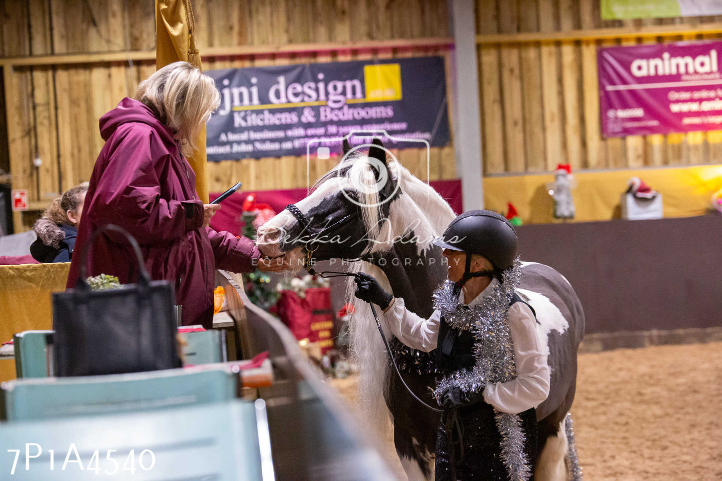 Home Farm Christmas Show 2024 - Inhand (Fun Classes)