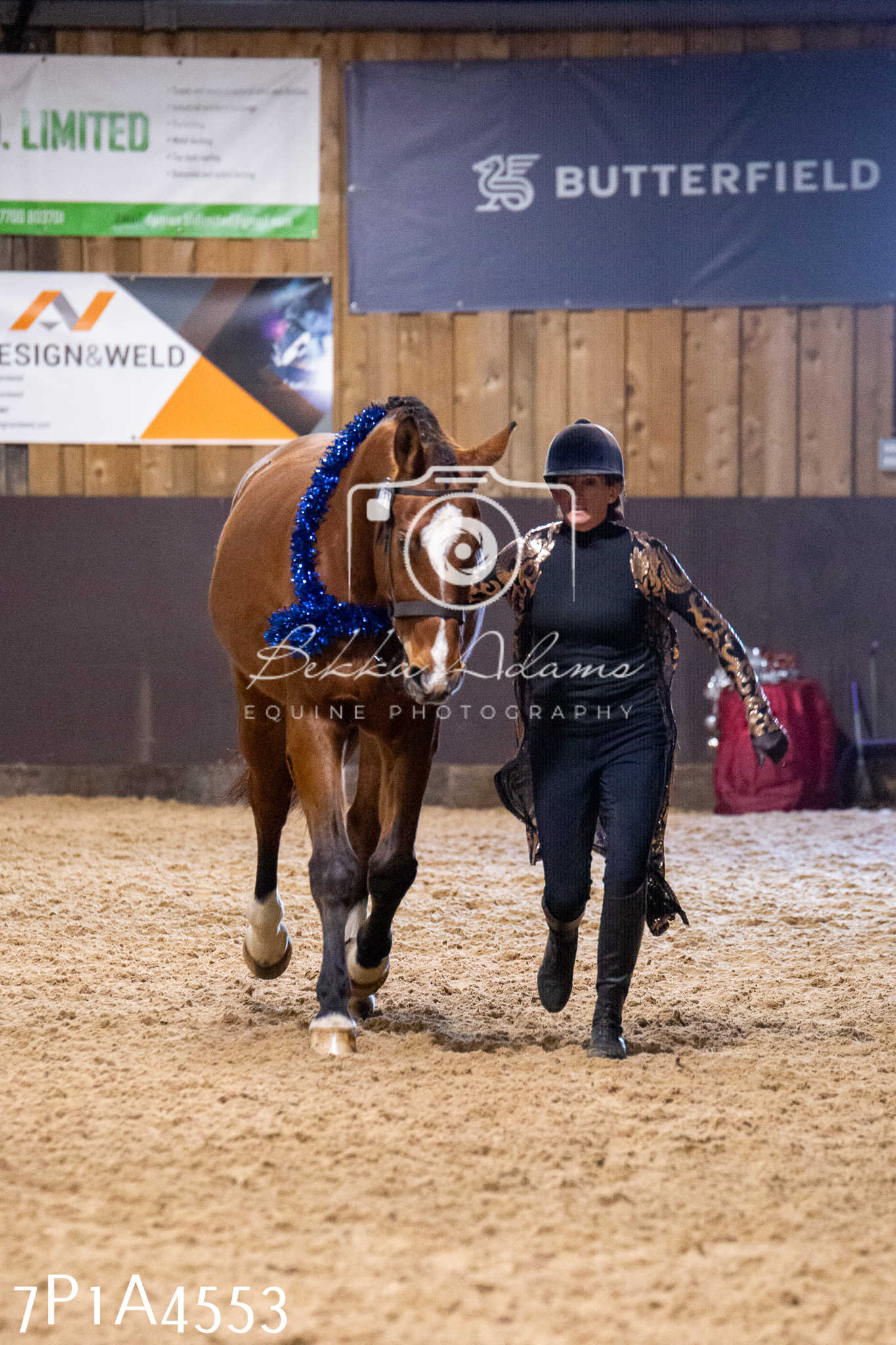 Home Farm Christmas Show 2024 - Inhand (Fun Classes)