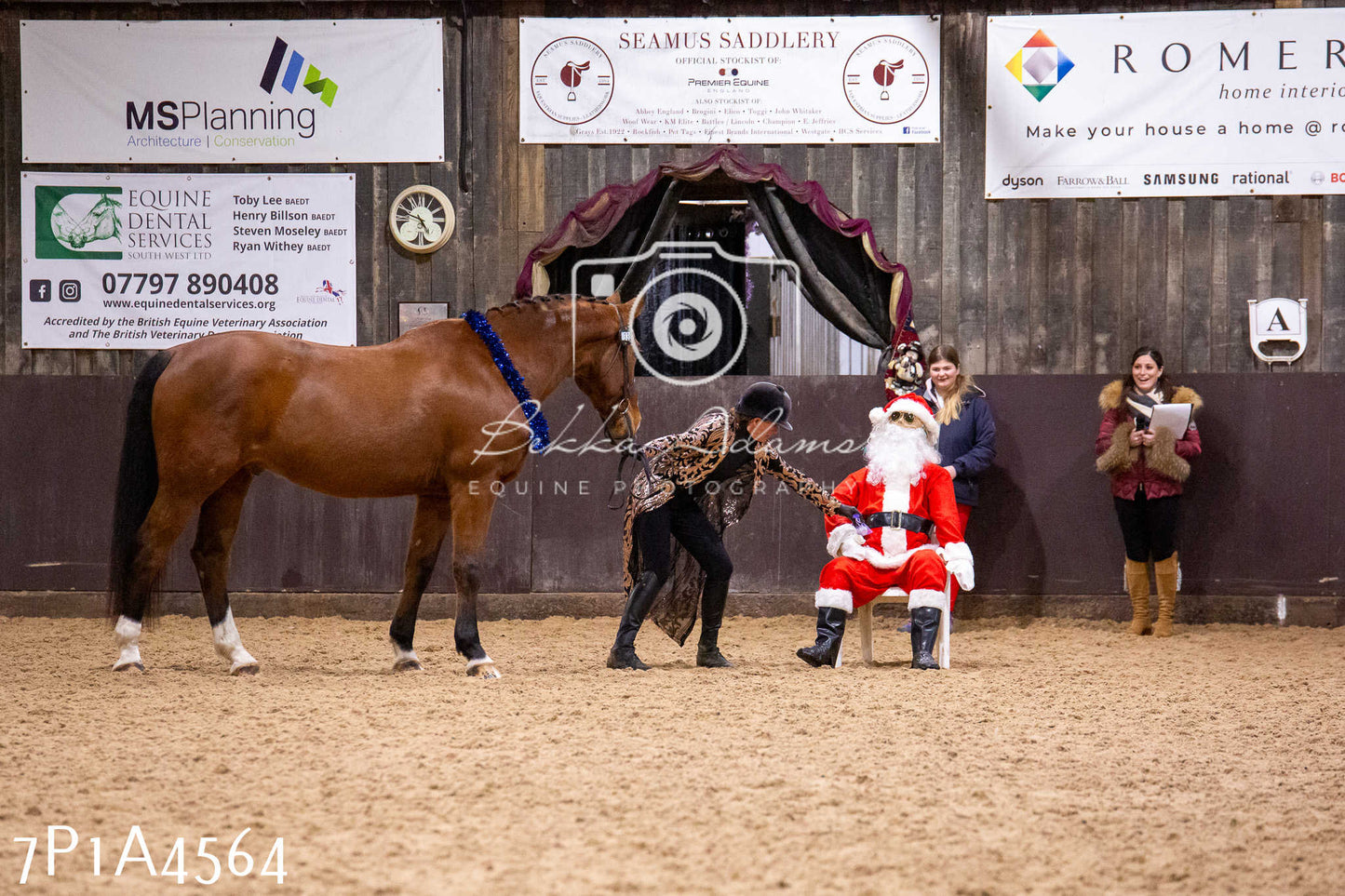 Home Farm Christmas Show 2024 - Inhand (Fun Classes)