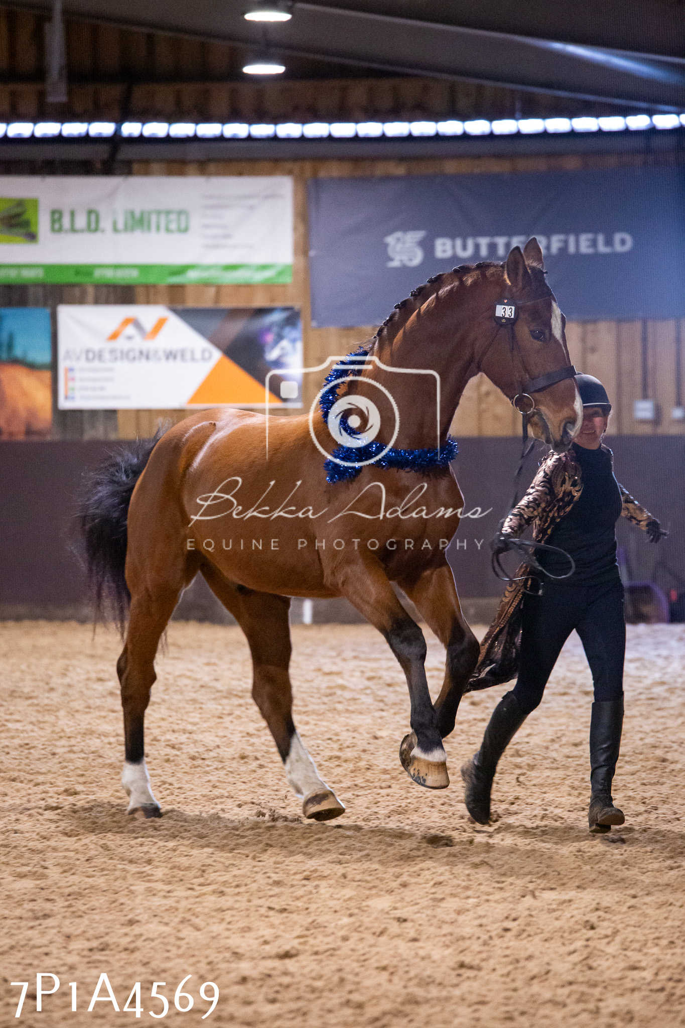 Home Farm Christmas Show 2024 - Inhand (Fun Classes)