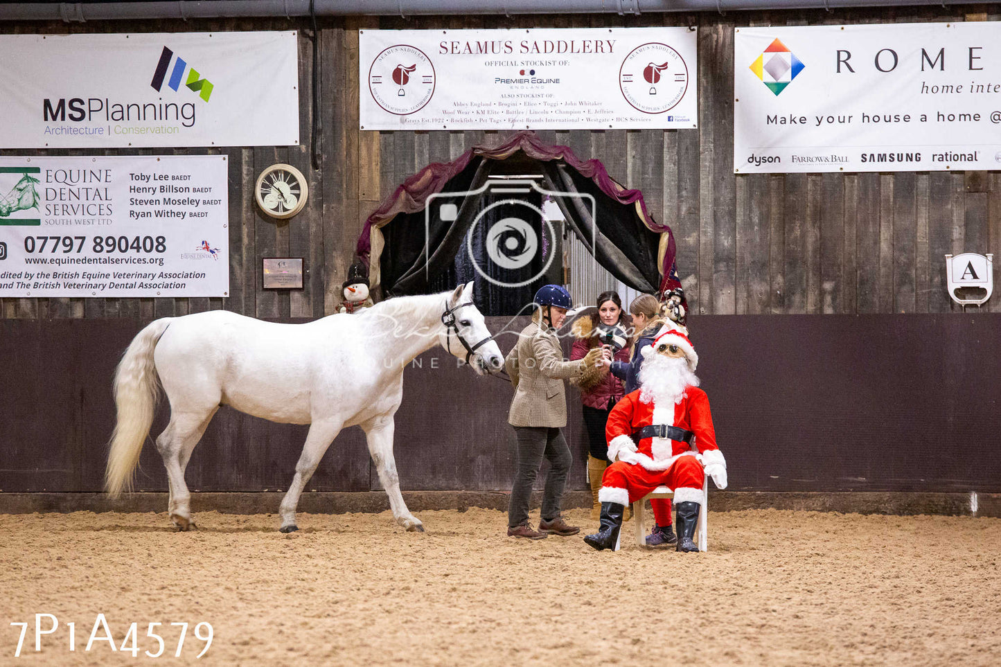 Home Farm Christmas Show 2024 - Inhand (Fun Classes)