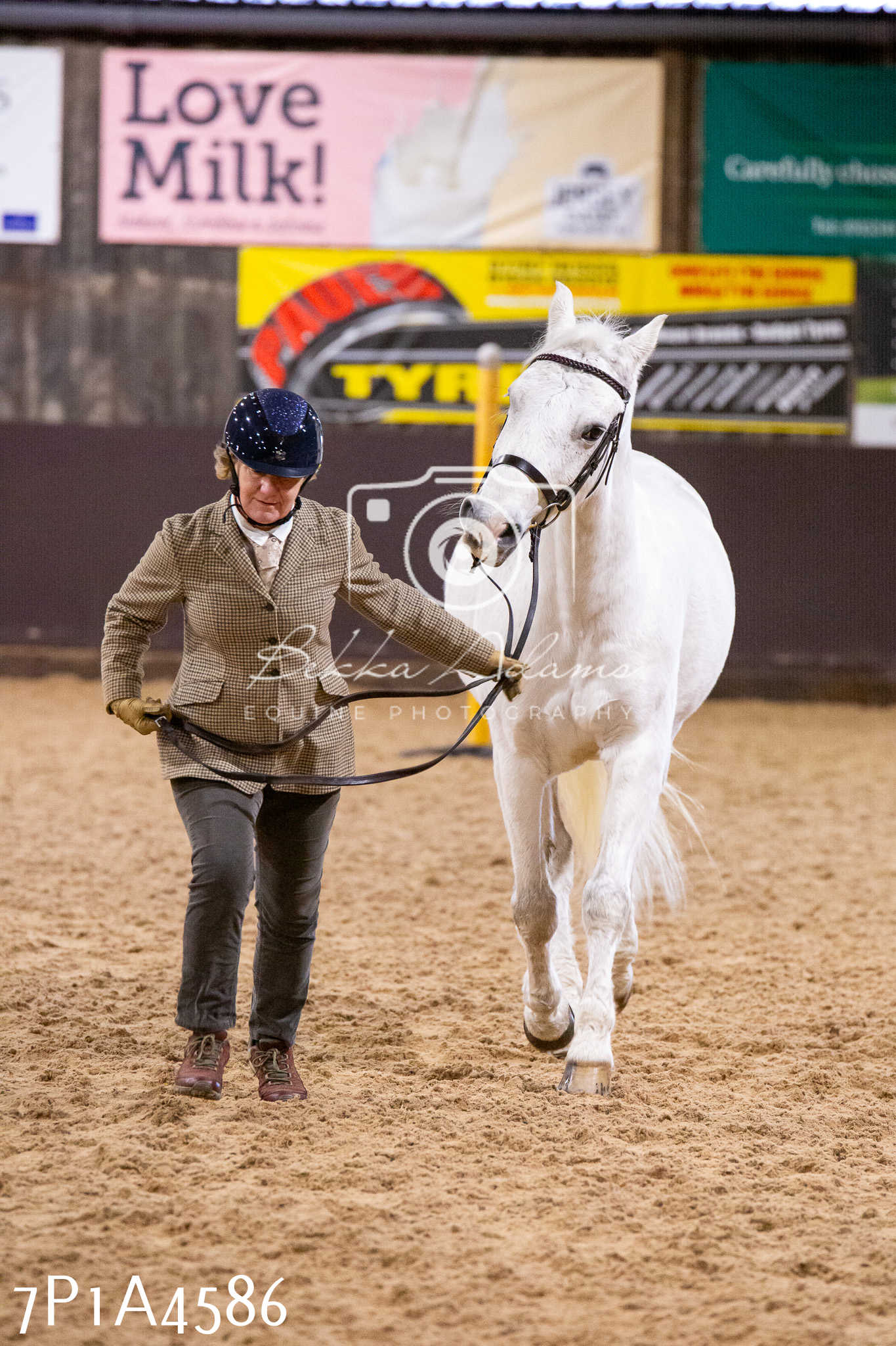 Home Farm Christmas Show 2024 - Inhand (Fun Classes)