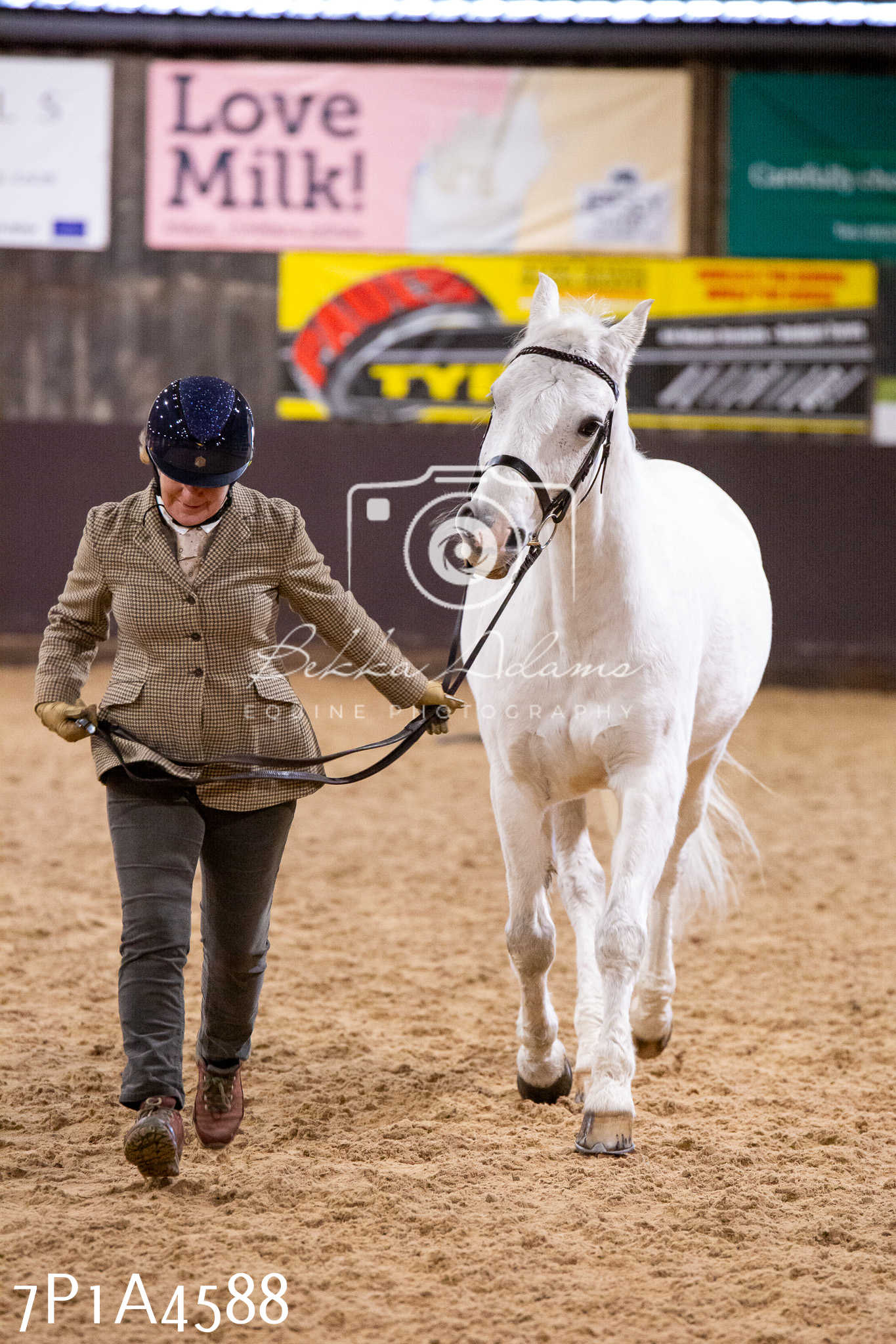 Home Farm Christmas Show 2024 - Inhand (Fun Classes)