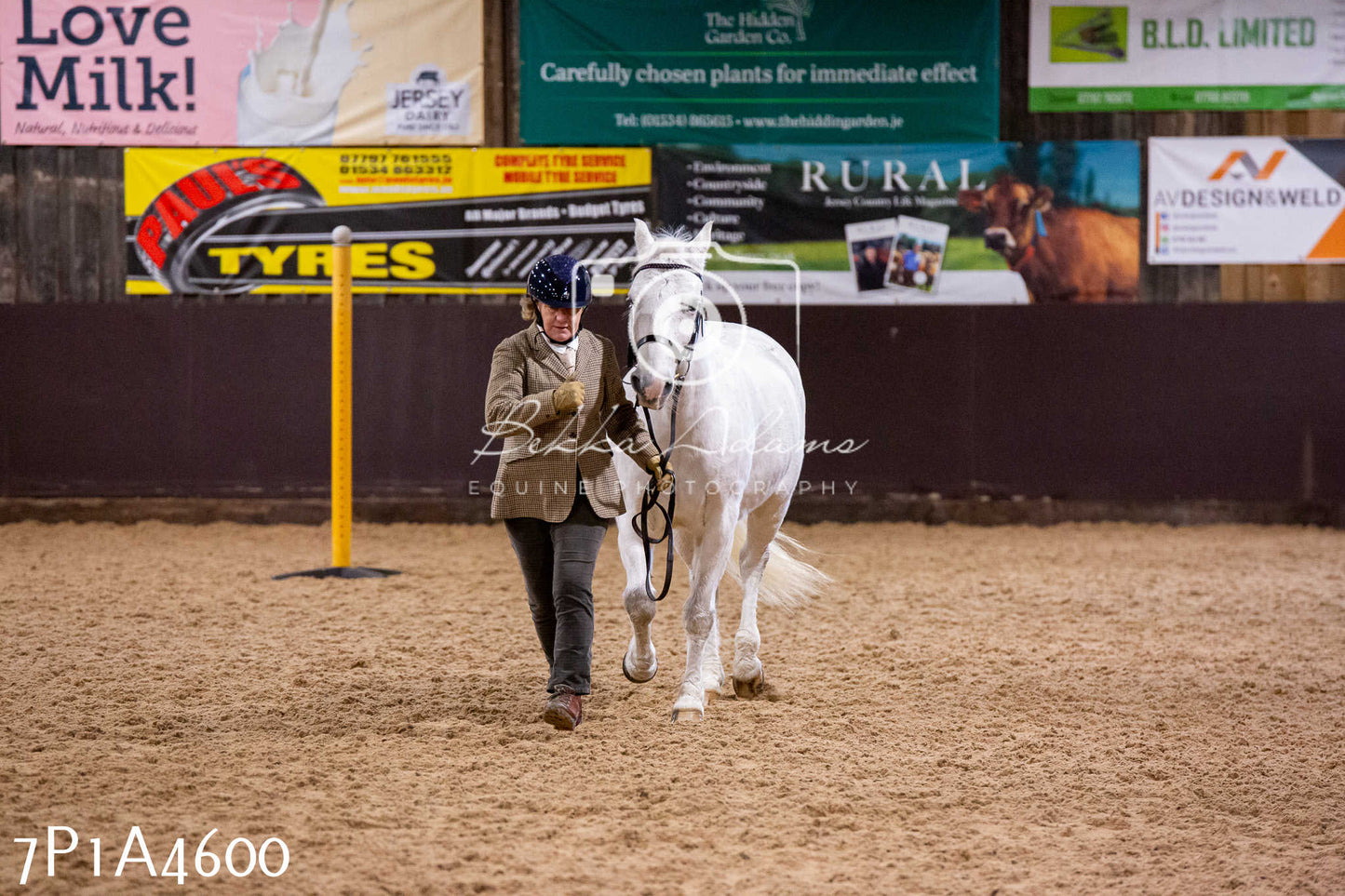 Home Farm Christmas Show 2024 - Inhand (Fun Classes)