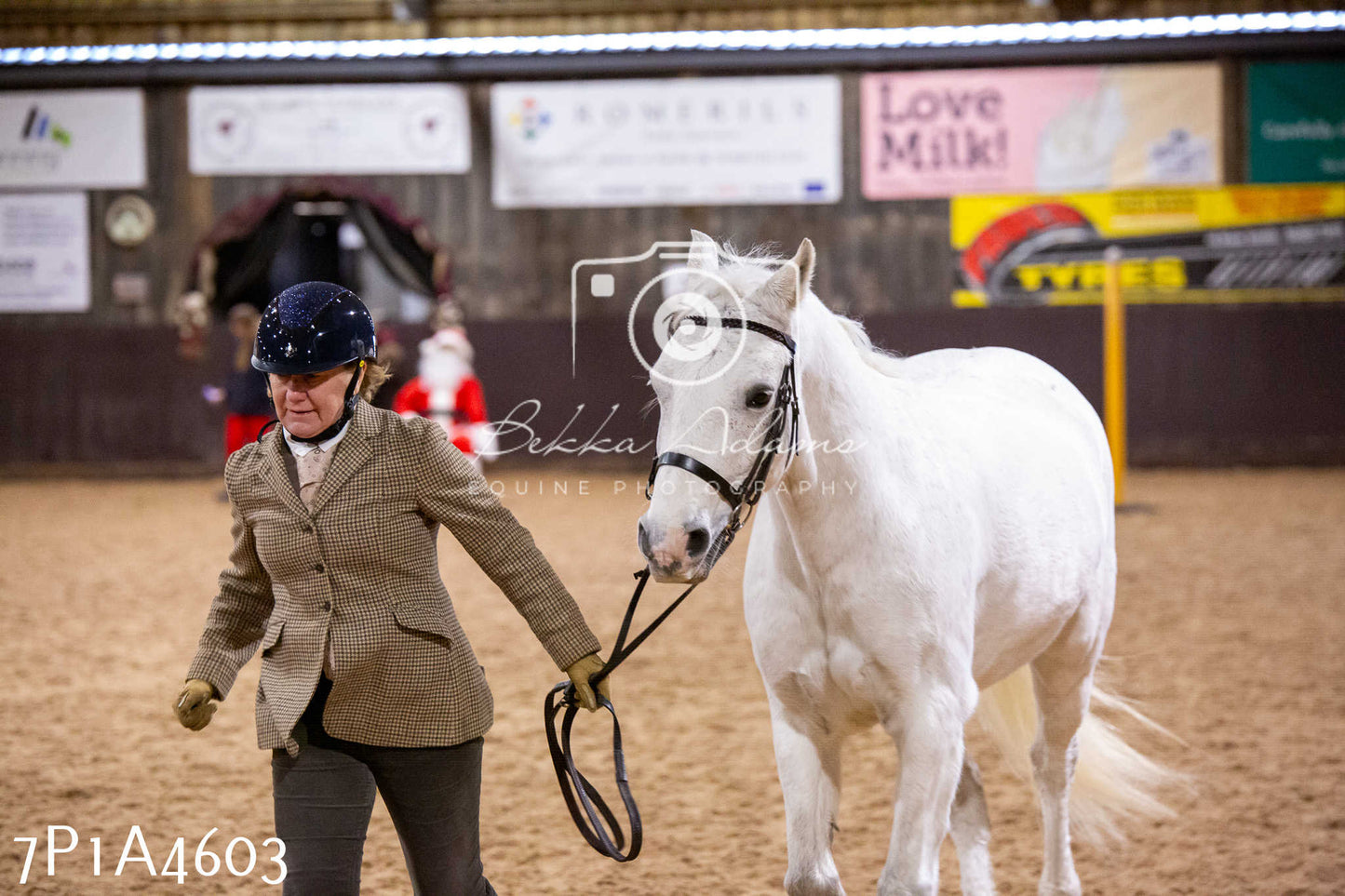 Home Farm Christmas Show 2024 - Inhand (Fun Classes)