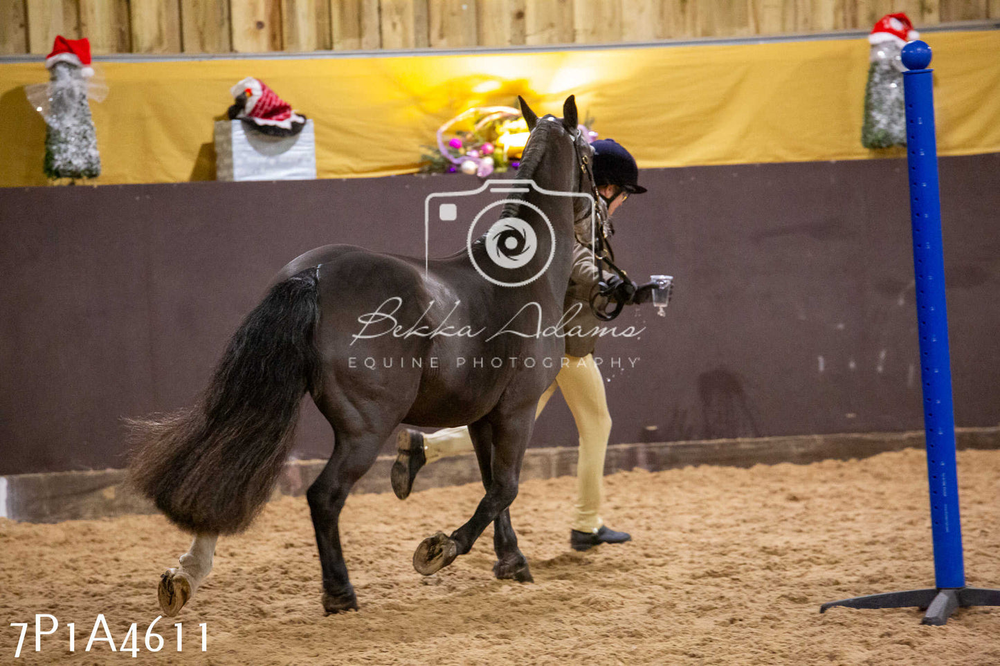 Home Farm Christmas Show 2024 - Inhand (Fun Classes)