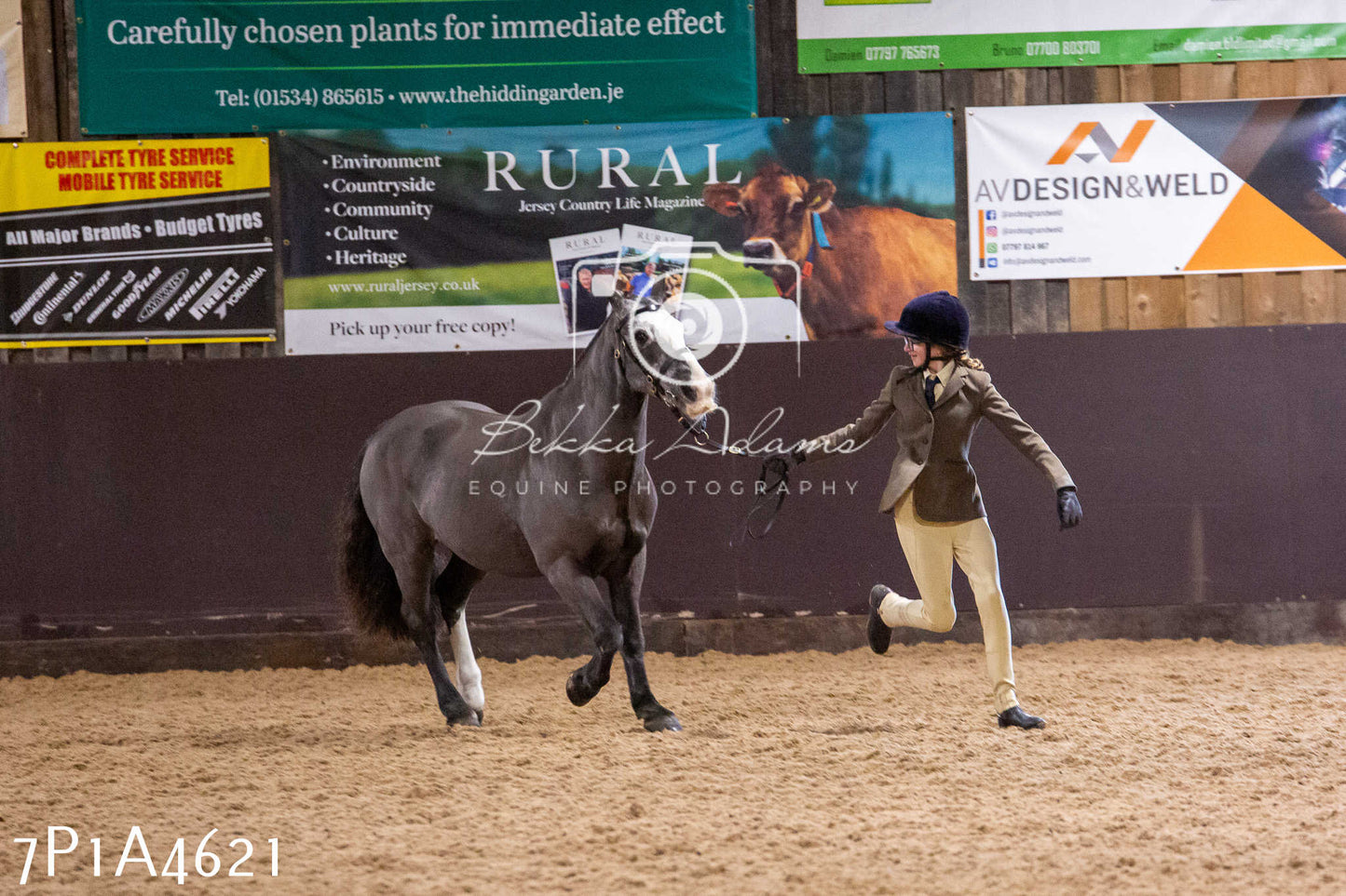 Home Farm Christmas Show 2024 - Inhand (Fun Classes)