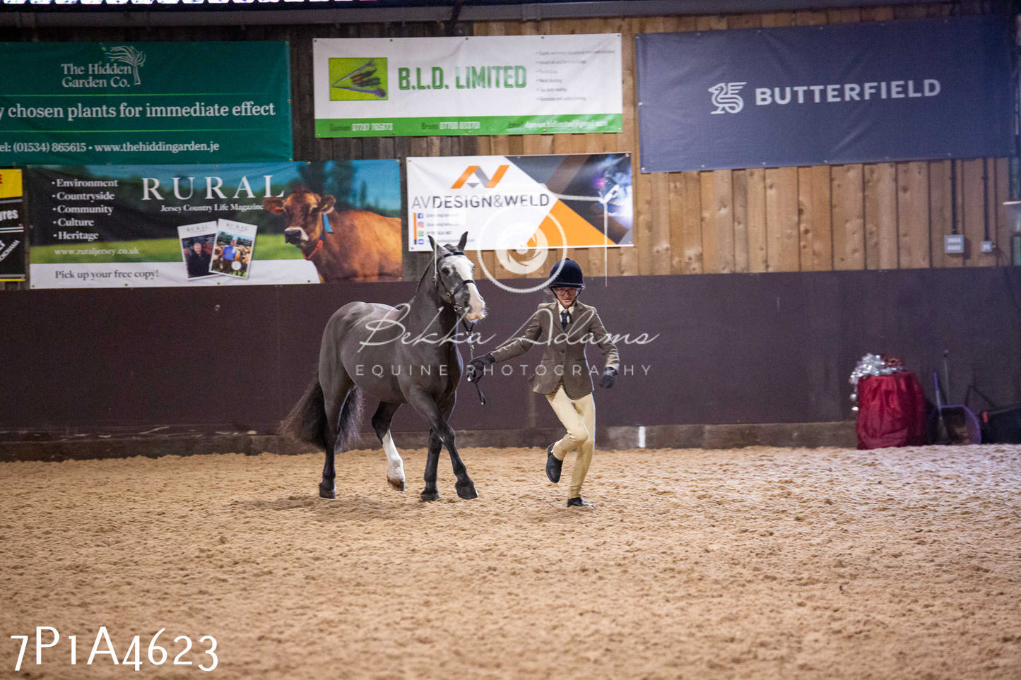 Home Farm Christmas Show 2024 - Inhand (Fun Classes)