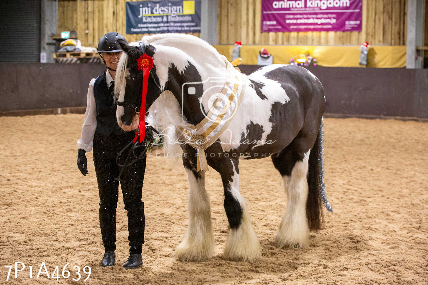 Home Farm Christmas Show 2024 - Inhand (Fun Classes)