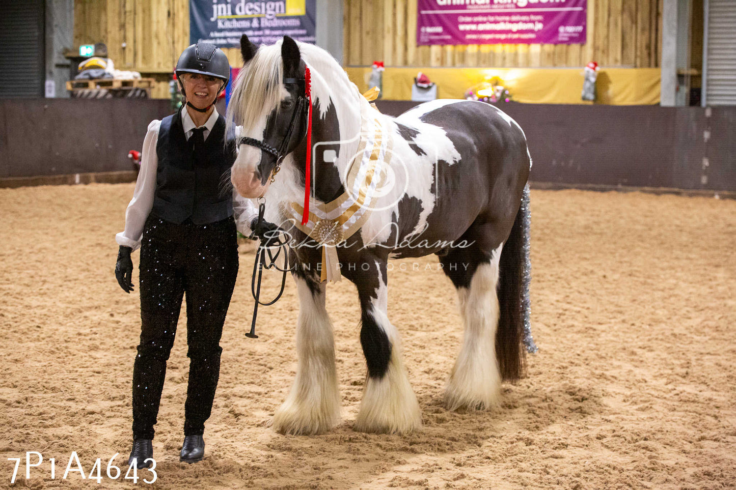 Home Farm Christmas Show 2024 - Inhand (Fun Classes)